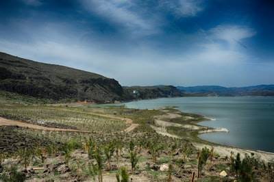 Expertos en aplicaciones personalizadas en Laguna de Duero