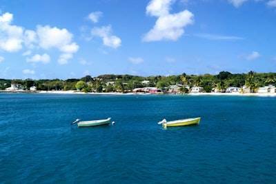 La importancia de la Búsqueda Semántica en Barbados