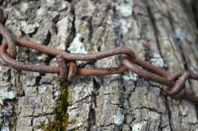 Estructura primitiva para la infraestructura de IA descentralizada