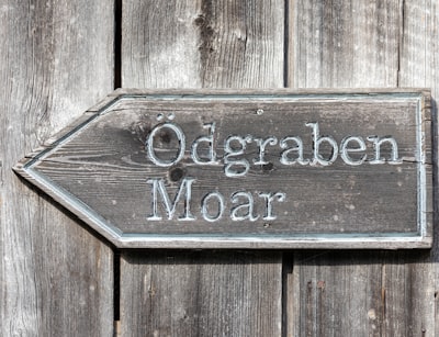 Agregación de clasificadores para la clasificación ordinal moderna