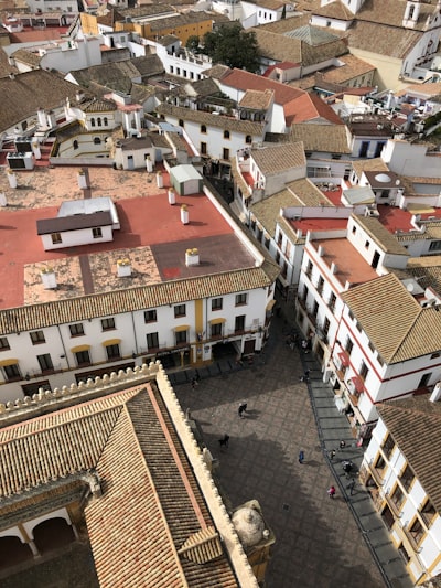 Los 15 mejores especialistas en avatares de IA personalizados en Córdoba