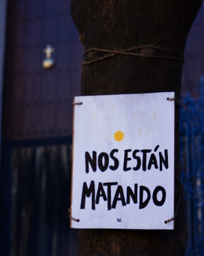 LLMs en Optimización Bayesiana: Descubrimiento Científico Guiado por Preferencias