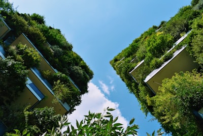 Optimiza recursos y reduce el impacto ambiental con software inmobiliario