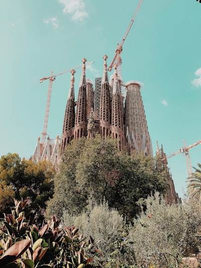 Bots de Instagram en Barcelona