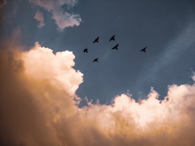 Mejores empresas de migración a la nube de Azure en Barcelona