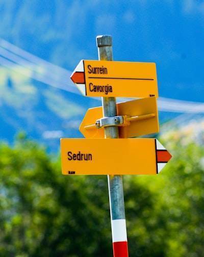 ¿Cómo los servicios de software influyen en la toma de decisiones?