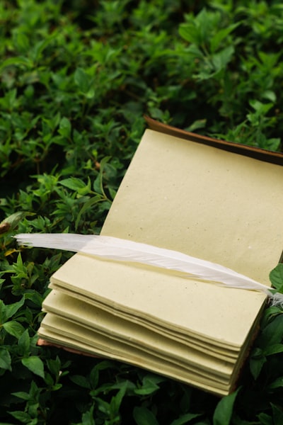 Mejora de documentos con IA para objetivos ambientales