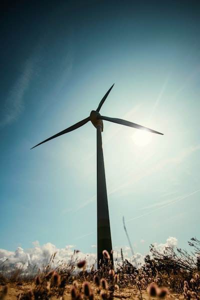 Almacenamiento de energía para una transición sostenible.