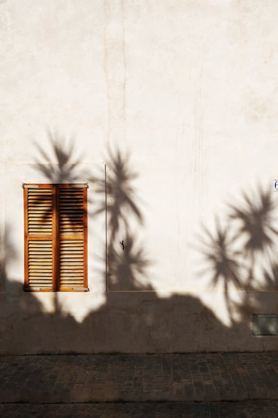 Empresa especializada en consultoría de apps en Ibiza