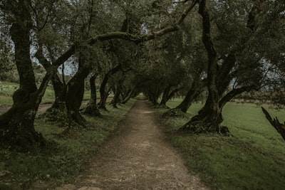 La lección del error de producción: Por qué los caminos felices no son suficientes