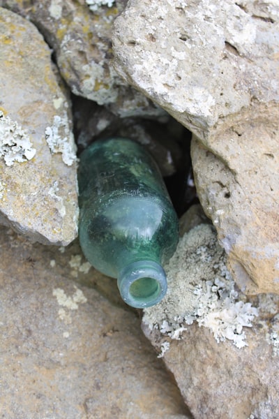 Dynamic-TreeRPO: Rompiendo el cuello de botella de trayectorias independientes con muestreo estructurado