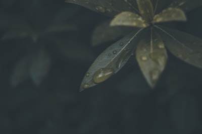 Automatización de pruebas de blockchain y web3: Desafíos y soluciones