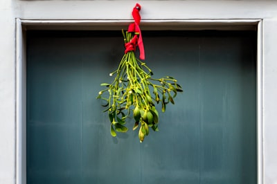 Ataques Mistletoe: Colapso de Aceleración en Decodificación Especulativa