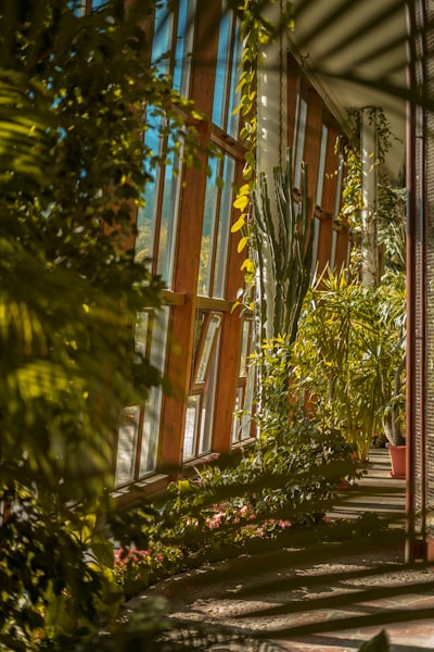 Mejores sistemas de jardinería interior probados en 2026