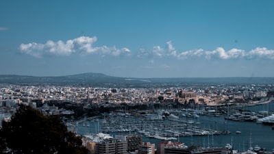 Mejores 100 empresas para publicidad AI en Palma
