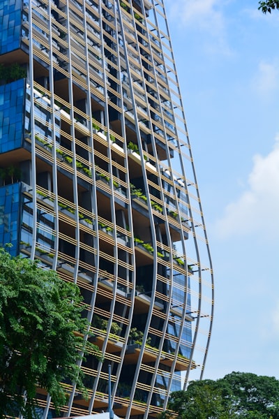Claves del mercado de madera transparente en Asia Pacífico