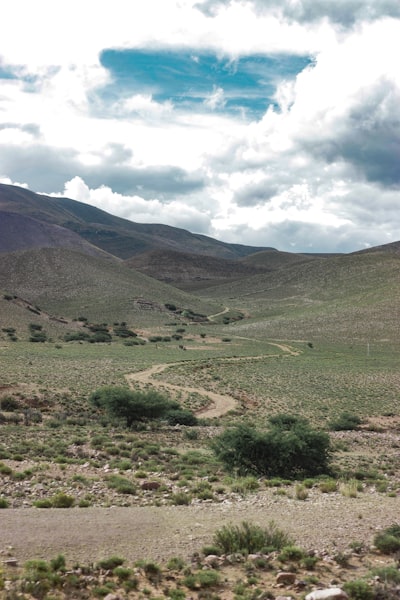 Un conjunto de datos de paisaje de alta resolución para modelos de distribución de especies