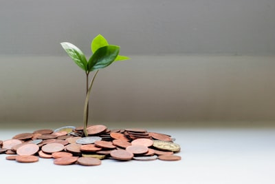 Sostenibilidad financiera: automatiza y cuida el planeta