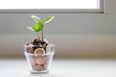Cómo la automatización del cierre financiero reduce el consumo energético