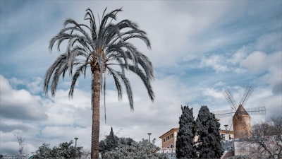 Automatización de procesamiento de facturas con IA en Palma