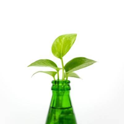 Construyendo marcas sostenibles con IA