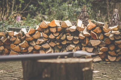 Por qué creé Timber: Una solución para reservas y pagos