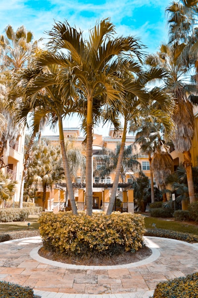 Plataforma de automatización de eventos en Las Palmas de Gran Canaria