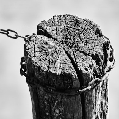 Sopesando utilitarismo y deontología