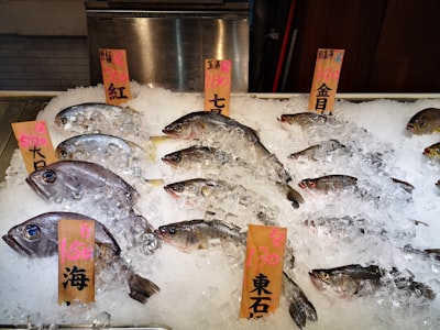 Este restaurante japonés paga $3.2 millones por un pescado