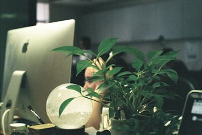 Mejores programas contables para contadores freelance en Las Palmas de Gran Canaria