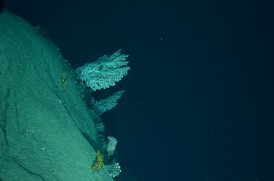 Design of Deep-Sea Exploration Habitats Using Self-Supervised Temporal Pattern Mining for Multijurisdictional Compliance