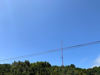 Generador de voz AI en Santa Cruz de Tenerife