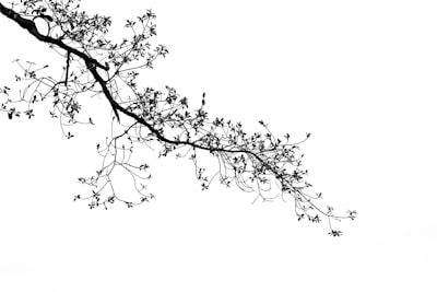 Understanding Branch-Level Changes with K-DIFF