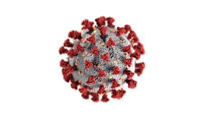 Predicción de estabilidad de nanopartículas lipídicas