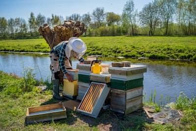 Construyendo un Campo de Honeypot Efectivo
