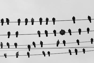 Cambios internos necesarios para implementar bots en redes sociales