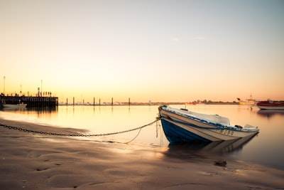 Los 20 mejores especialistas en bots de Instagram en Huelva