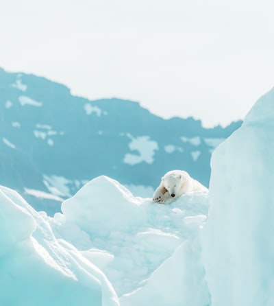 Análisis de extremos multivariantes mediante profundidad polar