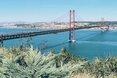 Las 5 mejores empresas de IA en Pontevedra