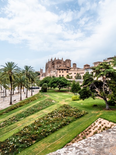 Top 20 empresas de apps móviles en Palma