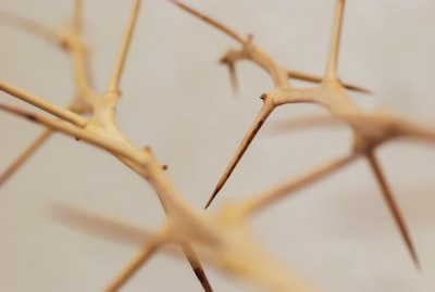 Neuron AI Laravel SDK