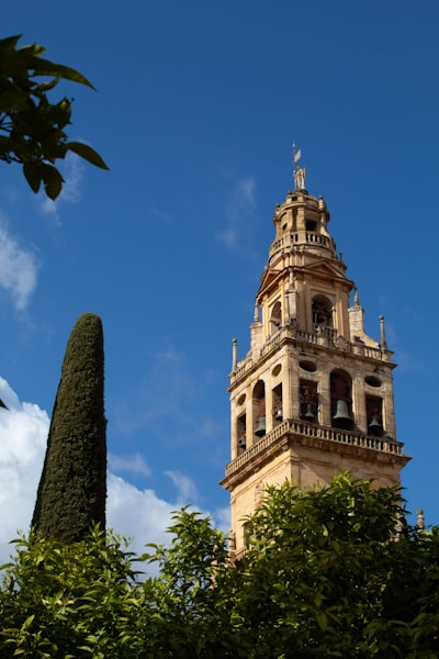 Top 15 Expertos en soluciones de aplicaciones en Córdoba