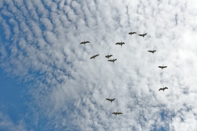 Top 20 Servicios de migración a Azure en Barcelona