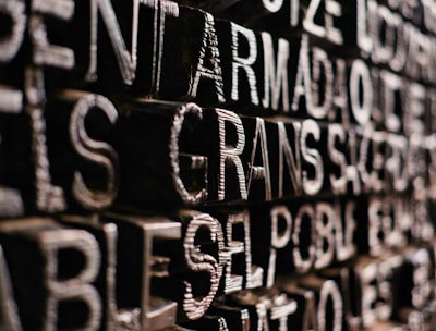 Transformador para el aprendizaje de vocabulario abierto