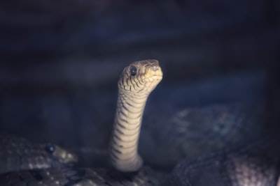 Introducción a la IA en Python