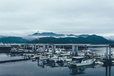 The Pacific Needs Blockchain: Three Projects Proving It Was Well Informed