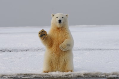 Acelera la inferencia con cuantificación polar de claves
