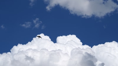 ¿Es la migración a la nube adecuada para startups y grandes empresas?