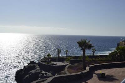 Aplicación móvil oficial Partner en Santa Cruz de Tenerife