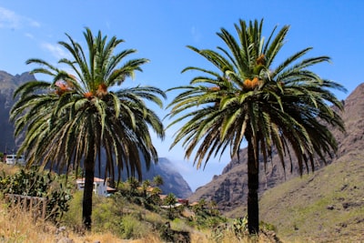Desarrollo de API personalizado en Santa Cruz de Tenerife